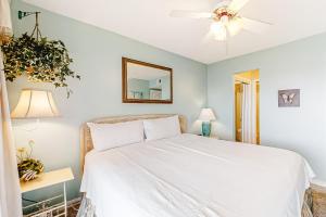 Plantation Palms #6604