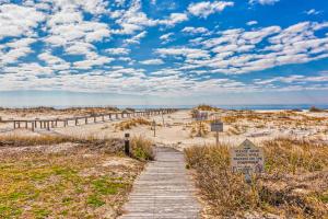 Plantation Palms #6510