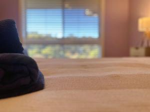 Sunlit Sanctuary at Kingston