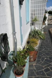 Villas maison 3 chambres vue mer spa a crozon : photos des chambres