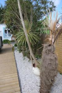 Villas maison 3 chambres vue mer spa a crozon : photos des chambres