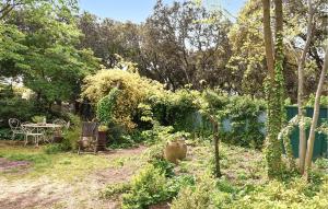 Maisons de vacances Lovely Home In Carpentras With Wifi : photos des chambres