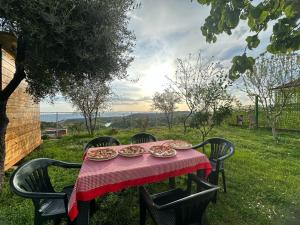 Meti guest house wooden room