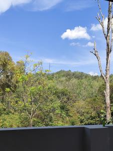 The Ishank Resorts Yercaud Hills