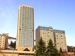 越後湯沢温泉ガーデンタワーホテル yraxリゾート - 南鱼沼市