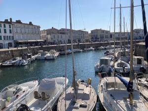 Appartements Charme et confort dans St Martin de Re terrasse & parking : photos des chambres