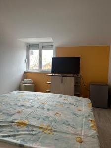 Casa Croitoru