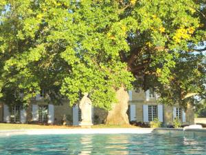 B&B / Chambres d'hotes La Rebiere d'Or, B&B et Gite : photos des chambres