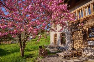 Baudenkmal Mühle Schalchen
