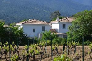 Maisons de vacances La Piscine - Maison de vacances dans Le Golfe de Saint Tropez - 6 personnes : photos des chambres