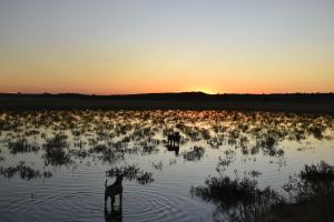 Truksvy Soutpan Guesthouse