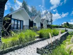 The Iris Kintamani - 库布盼洛坎