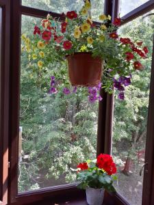 Comfy Bright Apt in OLD TOWN Your Perfect Location