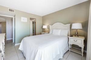 Plantation Palms #6603