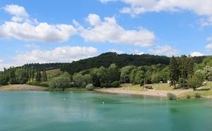 Maisons de vacances Gite Le Belvedere du Lac : photos des chambres