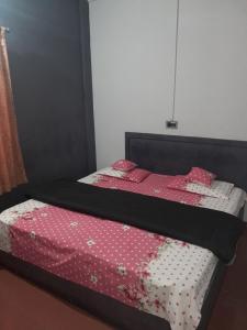 Wayanad Wildlife Sactuary Bamboo Groves