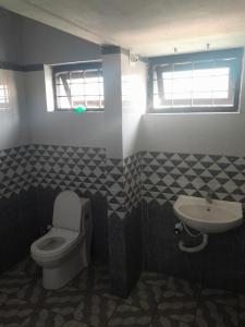 Wayanad Wildlife Sactuary Bamboo Groves