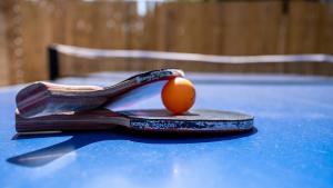 Maisons de vacances Gite la Seigneurie -Piscine & SPA : photos des chambres