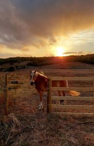 La Cera Farm Camping B&B
