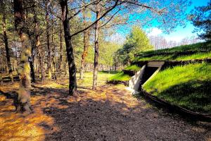 Leśny Raj - Samotnia