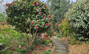 Maisons de vacances Gite Les mouettes qui caquetent : photos des chambres