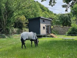 Chalets Le Petit Haras de Valmont : photos des chambres