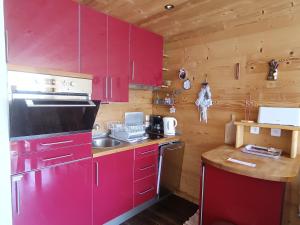 Appartements Charmant appartement chalet renove, 4-6 pers, situe a 100m des pistes a Montgenevre - FR-1-445-162 : photos des chambres