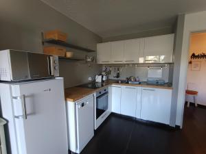 Appartements Appartement confortable 4 pers, balcon soleil, parking, pres des pistes - FR-1-445-172 : photos des chambres