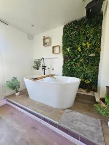 1989 Australie, baignoire ilot et video projecteur - 瑟伊辛斯