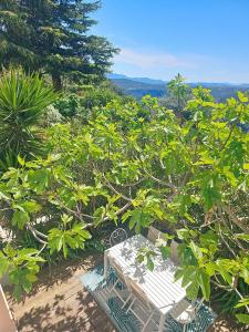 Appartements Le Figuier de Saint Ce Jardinet Terrasse Vue : photos des chambres
