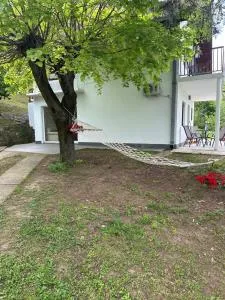 Tresnjin cvet - Srednji Kraj