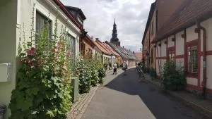 Genuine town-house in Ystad, close to the sea - Ystad