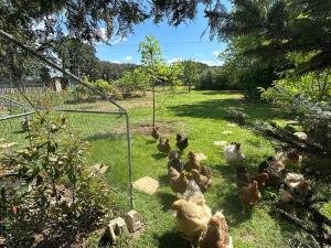 Maisons de vacances Maison familiale Drome - Ardeche : photos des chambres