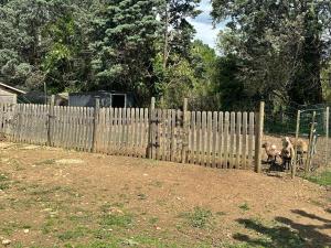 Maisons de vacances Maison familiale Drome - Ardeche : photos des chambres