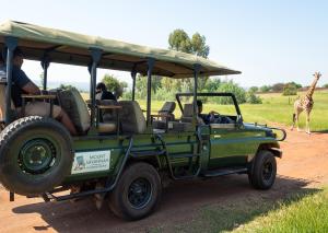 Mount Savannah Lodge by Dream Resorts