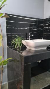 Palm Trees Ayurvedic Heritage
