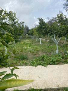 Deon`s Garden
