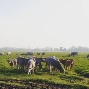 Luxe stal appartement