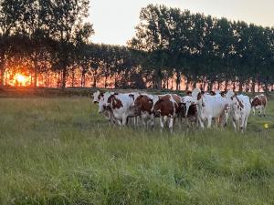 Luxe stal appartement