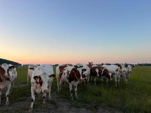 Luxe stal appartement