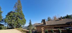Maisons de vacances Domaine le Bouissou Du Mahun Gites de groupes en pleine foret Ardechoise : photos des chambres