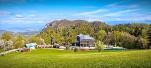 瑟尔斯加科加酒店 - 韦莱涅