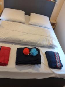 Campings Iscles 231- MH Au calme pres du lac : photos des chambres