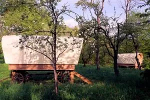 Glamping Tlaka - 雷兹夫图新