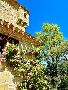Maisons de vacances Chateau de Tournou : photos des chambres
