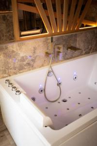 Appartements Les Jardins Secrets - Gare & Centre by Apparts Spa Dijon : photos des chambres