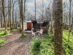 Ashkey Yurt - Hackthorpe