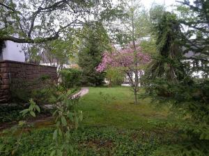 Villas Charming house Riquewihr, Alsace : photos des chambres