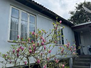 MERABI House