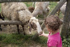 Palagina Il Borgo Agricolo